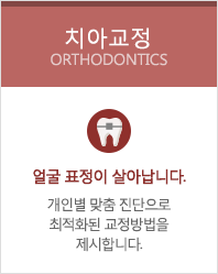 치아교정