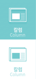 칼럼