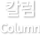 칼럼