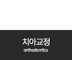 치아교정