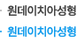 원데이치아성형