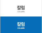 칼럼