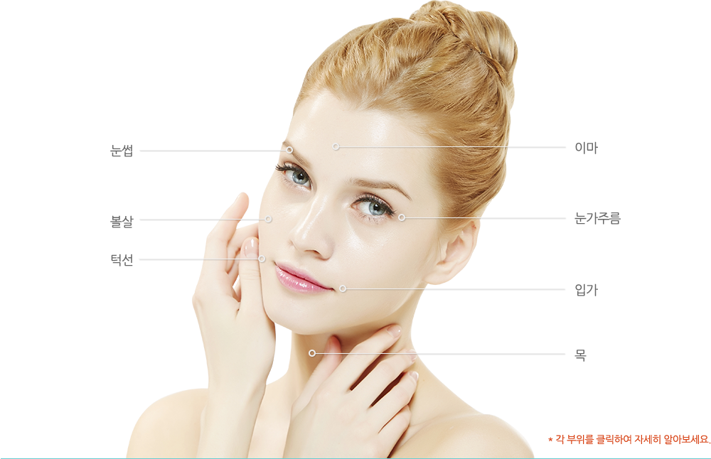 각 부위를 클릭하여 자세히 알아보세요.