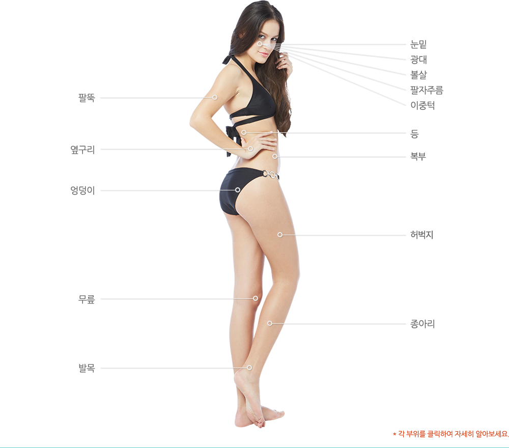 각 부위를 클릭하여 자세히 알아보세요