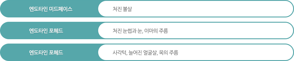 엔도타인 미드페이스:처진 볼살 엔도타인 포헤드:처진 눈썹과 눈, 이마의 주름 엔도타인 포헤드:사각턱, 늘어진 얼굴살, 목의 주름 