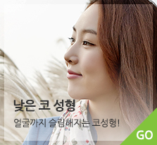 낮은코 성형 바로가기