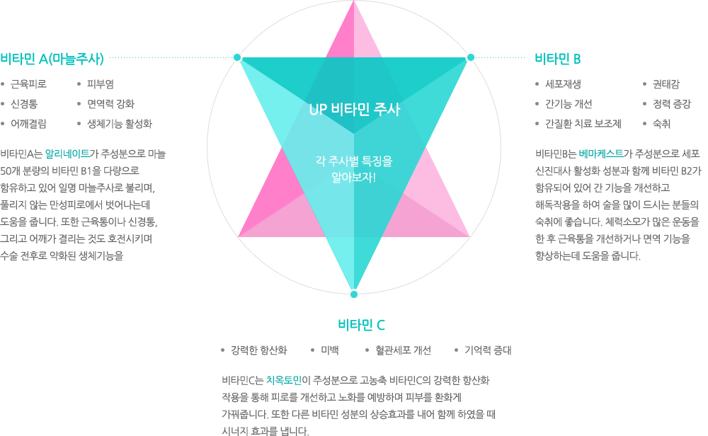 비타민 A(마늘주사):근육피로, 신경통, 어깨결림, 피부염, 면역력 강화, 생체기능 활성화. 비타민A는 알리네이트가 주성분으로 마늘 50개 분량의 비타민 B1을 다량으로 함유하고 있어 일명 마늘주사로 불리며, 풀리지 않는 만성피로에서 벗어나는데 도움을 줍니다. 또한 근육통이나 신경통, 그리고 어깨가 결리는 것도 호전시키며 수술 전후로 약화된 생체기능을 활성화시킵니다. 비타민 B:세포재생,간기능 개선,간질환 치료 보조제, 권태감, 정력 증강, 숙취. 비타민B는 베마케스트가 주성분으로 세포 신진대사 활성화 성분과 함께 비타민 B2가 함유되어 있어 간 기능을 개선하고 해독작용을 하여 술을 많이 드시는 분들의 숙취에 좋습니다. 체력소모가 많은 운동을 한 후 근육통을 개선하거나 면역 기능을 향상하는데 도움을 줍니다. 비타민 C:강력한 항산화, 미백, 혈관세포 개선, 기억력 증대. 비타민C는 치옥토민이 주성분으로 고농축 비타민C의 강력한 항산화 작용을 통해 피로를 개선하고 노화를 예방하며 피부를 환화게 가꿔줍니다. 또한 다른 비타민 성분의 상승효과를 내어 함께 하였을 때 시너지 효과를 냅니다.