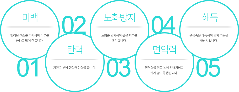 1.미백:멜라닌 색소를 파괴하여 피부를 환하고 밝게 만듭니다. 2.탄력:처진 피부에 탱탱한 탄력을 줍니다. 3.노화방지:노화를 방지하여 좋은 피부를 유지합니다. 4.면역력:면역력을 더욱 높여 잔병치레를 하지 않도록 돕습니다. 5.해독:중금속을 해독하여 간의 기능을 향상시킵니다.