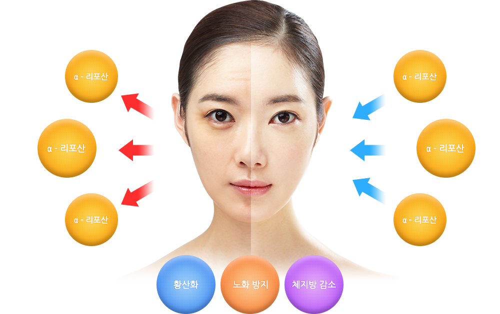 황산화, 노화방지, 체지방감소