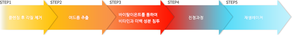 1.클렌징 후 각질제거 2.여드름 추출 3.바이탈이온트를 통하여 비타민과 미백성분 침투 4.진정과정 5.재생레이저
