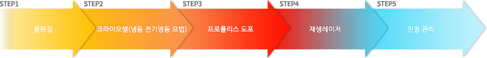 1.클렌징 2.크라이오셀(냉동 전기영동 요법) 3.프로폴리스 도포 4.재생레이저 5.진정관리