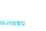 미니지방흡입