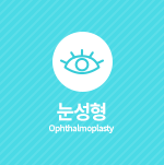 눈성형