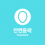 안면윤곽