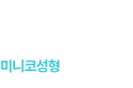 미니코성형