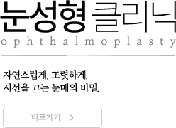 눈성형 바로가기