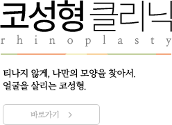코성형 바로가기
