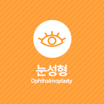눈성형