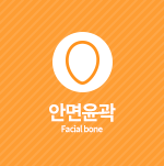 안면윤곽
