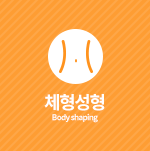 체형성형