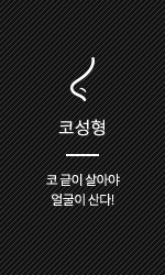 코성형