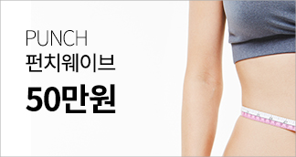 펀치웨이브 바로가기