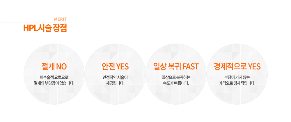 HPL�ü� ���� ���� NO, ���� YES, �ϻ� ���� FAST, ���������� YES
-������� ������� ������ �δ㰨�� �����ϴ�.
-�������� �ü��� �����˴ϴ�.
-�ϻ����� �����ϴ� �ӵ��� �����ϴ�.
-�δ��� ���� ���� �������� �������Դϴ�.
