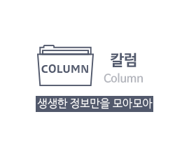 칼럼