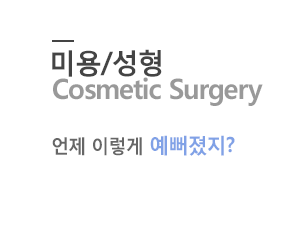미용/성형