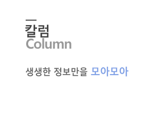 칼럼