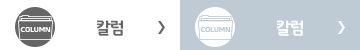 칼럼
