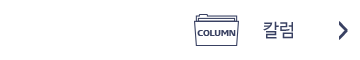 칼럼