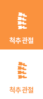 척추,관절