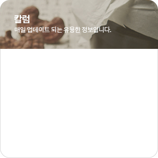 칼럼 최신글