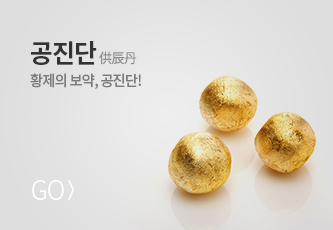 공진단 바로가기