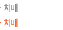 치매