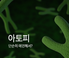 아토피 바로가기