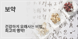 보약