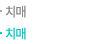 치매