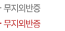 무지외반증