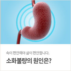 소화불량 바로가기