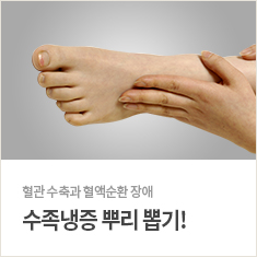 수족냉증 바로가기