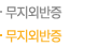 무지외반증