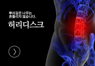 허리디스크
