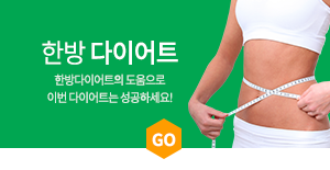 한방다이어트