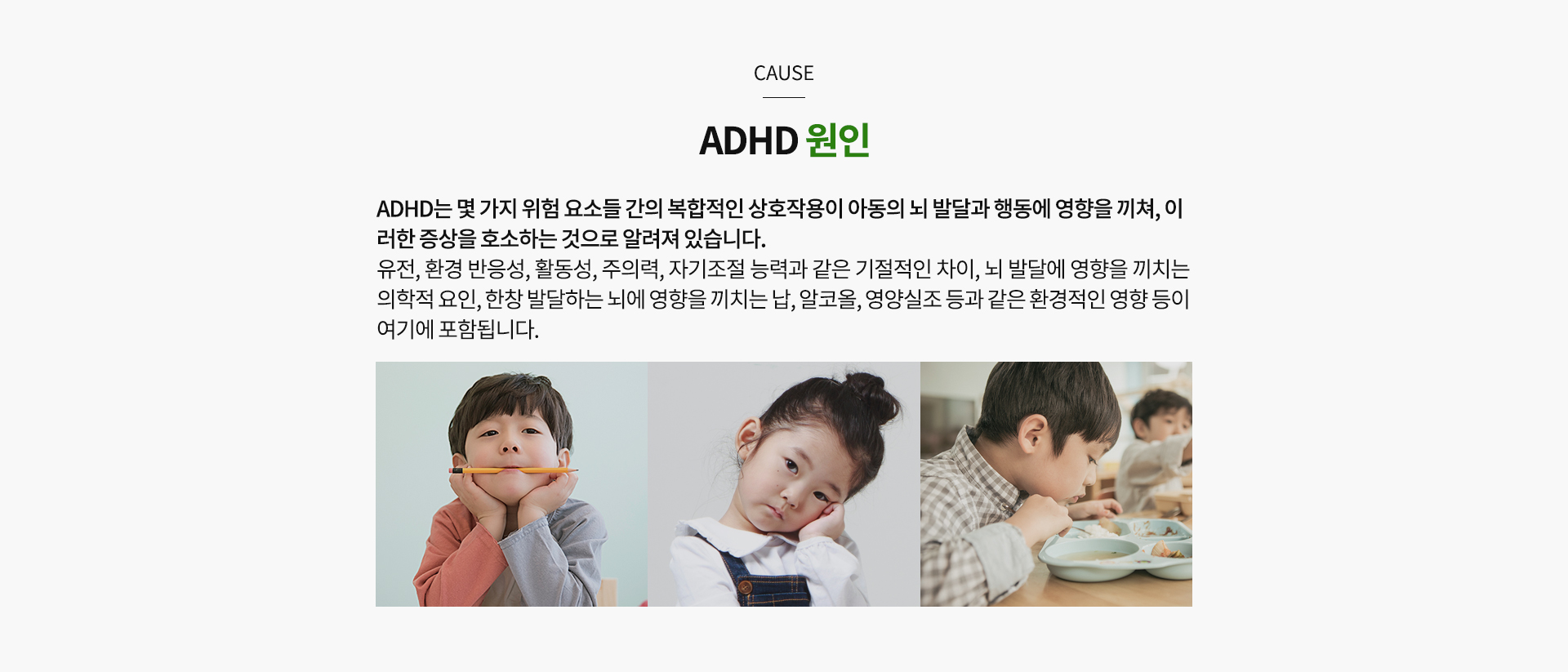 adhd 원인