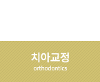 치아교정