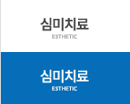 심미치료