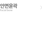 안면윤곽