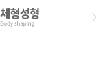 체형성형